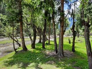 Natural beauty and wildlife of Kashmir Pakistan