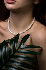 Women's collarbones and shoulders. Delicate photograph of body parts