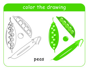 Coloring book for children. A set of green peas in color and black and white. Vector illustration.