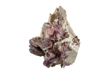 A sample of a natural mineral Lepidolite, layered mineral, silicate of sheet structure from the mica group, brush of plate crystals on feldspar. Museum Mineral Series. Mineralogical sample on white