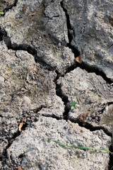 dry cracked land draught background