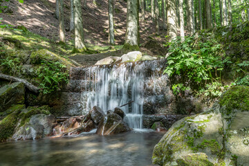 A small waterfall in the Acquerino Cantagallo nature reserve, between the provinces of Pistoia and Prato, Italy
