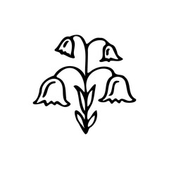 Vector isolated single lily valley branch colorless black and white contour line drawing