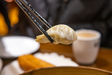 Chinese special breakfast-beef fried dumplings