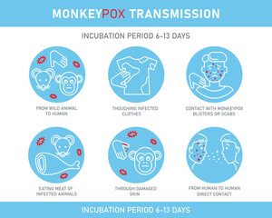 Monkeypox virus transmission infographics with icons isolated on white background. Vector flat illustration for medical concept. Design for banner, poster, flyer.