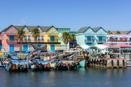 Hualien leisure marina whale watching harbor pier