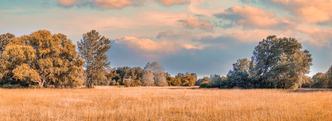 Colorful autumn sunrise on meadow. Panoramic nature landscape, soft pastel colors, dream nature,...