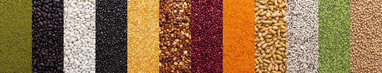 Banner of different types of legumes , chickpeas and peas, colorful beans and lentils, mung beans...