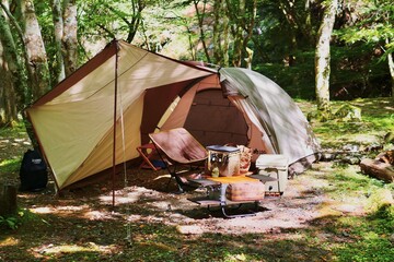 camping in the forest - obrazy, fototapety, plakaty