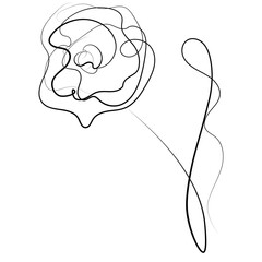 Drawing of a flower for a logo, postcard. Hand drawing. Floral pattern.