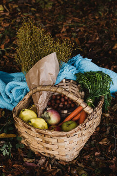 Tasty fresh ripe harvested fruits in basket in garden