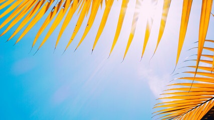 Tropical palm leaf and sun shining on blue sky background