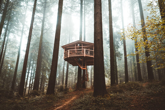 Wooden cabin hanged on tree
