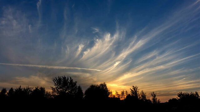 summer evening sunset with wind blown thin and long clouds above the trees, time lapse