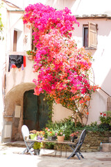 Fototapeta na wymiar flowery courtyard of a house
