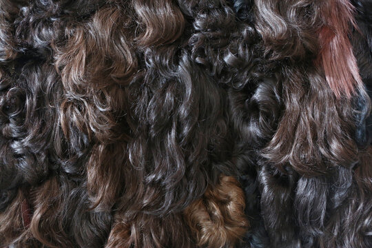 Hair Design Hair Design