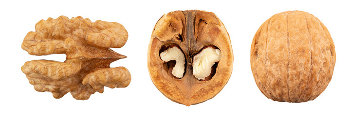 Set of delicious walnuts  on isolated with white background. File contains clipping path.