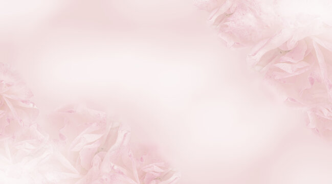 Dreamy blurred gradient background with merging in a pale colored flower composition. Peaceful or serene backgrounds. Template banner. Frame with soft pastel floral pattern