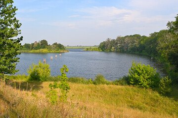 Vistula river in Poland, summer landscape of the river and surrounding vegetation