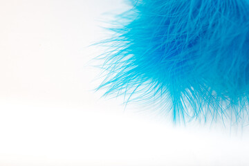 Multicolored bright colorful bird feathers isolated on white background. Holiday carnival. Set of colored different feathers.