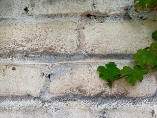 Concrete rough wall texture background 