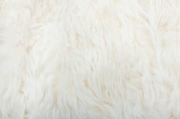 White animal fur. Weasel or cat hair. Fur clothes, white fur coat close up.