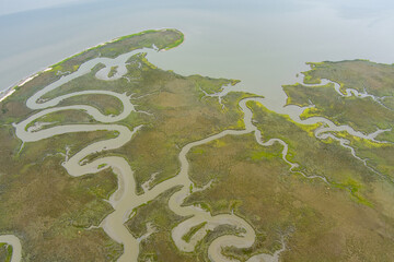 Marsh near Dauphin Island, Alabama 