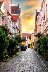 Beautiful street with plants and roses in the old town of Lübeck, Germany