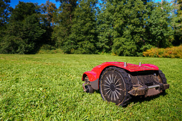 Red robotic lawn mower mows the grass on the lawn. - obrazy, fototapety, plakaty