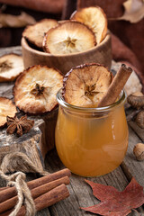 Glass of apple cider with cinnamon stick and dried apple chip