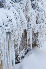 Fototapeta na wymiar Winter landscape of the frosted and iced shoreline of the Tahquamenon River, Tahquamenon Falls State Park, Michigan's Upper Peninsula, USA