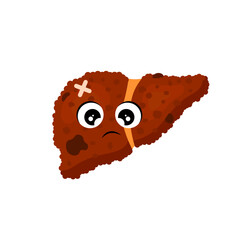 Liver cancer. Cirrhosis of the liver. Anatomy.