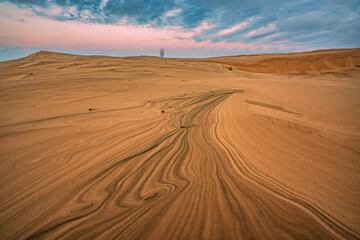 Fototapeta na wymiar Landscape at twilight of the Silver Lake Sand Dunes, Silver Lake State Park, Michigan, USA