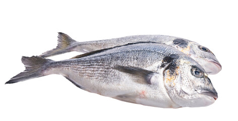  Two uncooked fishes over white isolated background