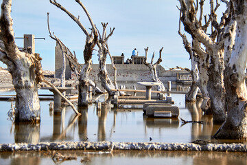 city destroyed by flood and weather changes, white trees dead and dry. Remains of destroyed houses...