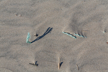 Alien Object on the Beach 33