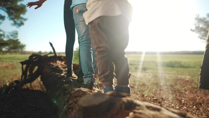 group of children playing in the park. legs close-up walking on a log in a forest park. happy family kid dream concept. group team of children walk on a fallen tree in a forest lifestyle park