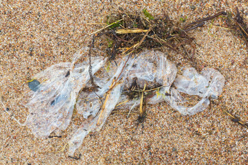 Alien Object on the Beach 25