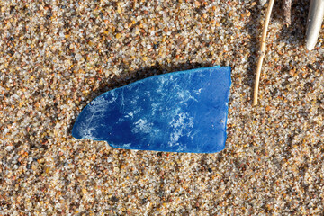 Alien Object on the Beach 27