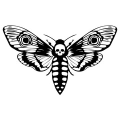 Death's head hawk moth. Acherontia atropos butterfly design, hand drawn vector illustration