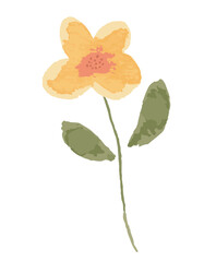 Yellow beautiful watercolor botanical wild flowers.Floral vector illustration.
