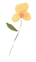 Obraz na płótnie Canvas Yellow beautiful watercolor botanical wild flowers.Floral vector illustration.