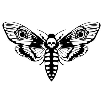 Death's head hawk moth. Acherontia atropos butterfly design, hand drawn vector illustration