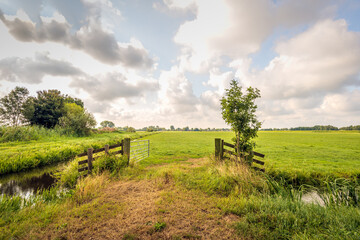 Polder landscape typical of the Alblasserwaard region in the Dutch province of South Holland. The photo was taken on a partly cloudy day in the summer season.