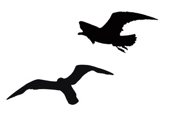 Fliegende Möwen Grafik