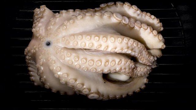 Time lapse process of de freezing A octopus On black grill