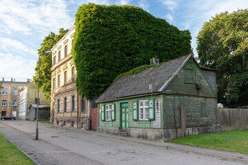 The brick house, which one wall is overgrown with creepers