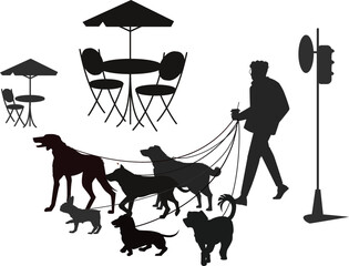 Walking with different dogs street city Vector Silhouettes