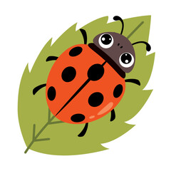 Fototapeta premium Cartoon Illustration Of A Ladybug