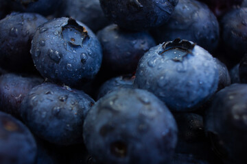 Macro shot of blueberry with water drops. Berry background